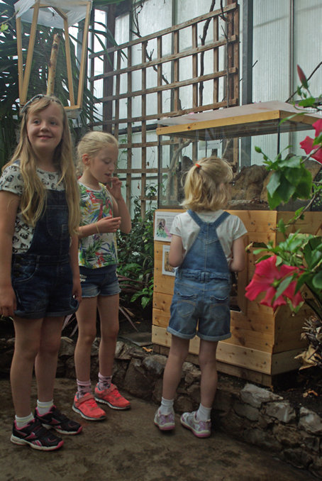 Young visitors in the butterfly hall